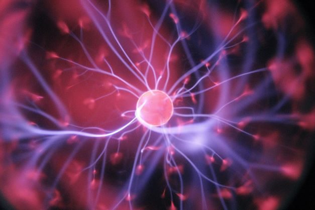 Brain Damage and Body Stress