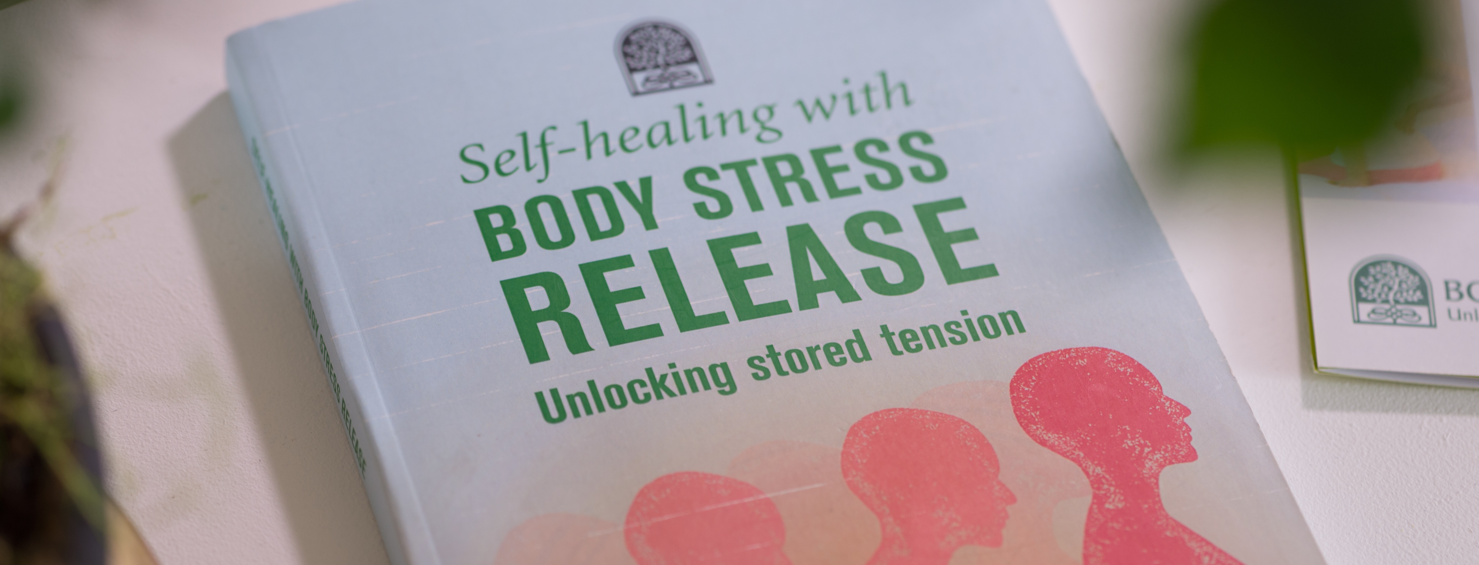 Body Stress Release
